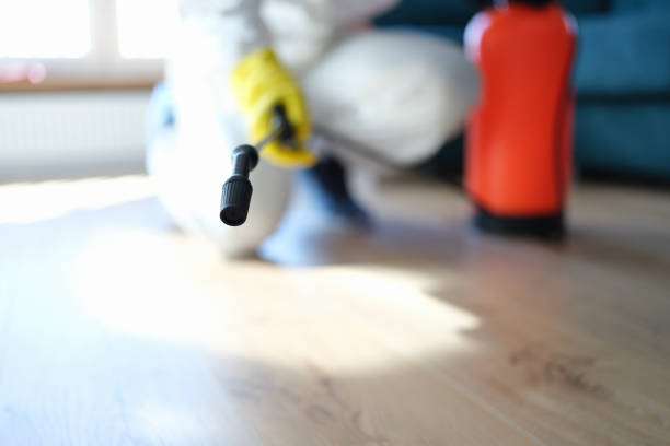 Best Forensic Mold Investigation  in Oronoque, CT