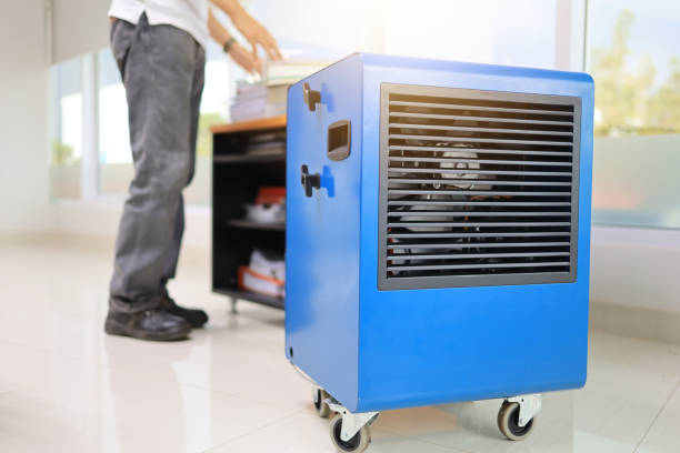 Best Comprehensive Air Testing for Mold Contaminants  in Oronoque, CT